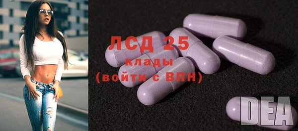 ГАЛЛЮЦИНОГЕННЫЕ ГРИБЫ Волосово