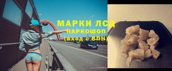 ГАЛЛЮЦИНОГЕННЫЕ ГРИБЫ Волосово