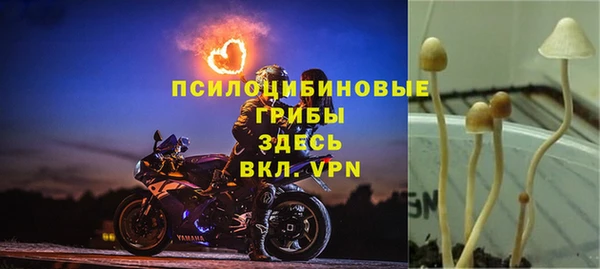 круглые Володарск