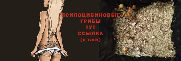 ГАЛЛЮЦИНОГЕННЫЕ ГРИБЫ Волосово