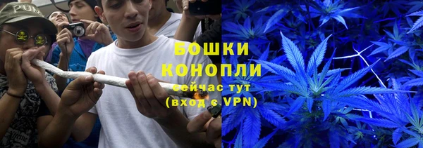 ГАЛЛЮЦИНОГЕННЫЕ ГРИБЫ Волосово