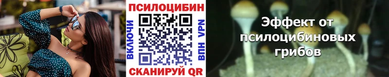 купить наркотик  Опочка  Псилоцибиновые грибы Magic Shrooms 